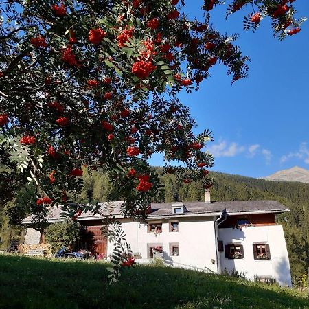 Fuldera Daint Chasa Zanoli Whg Im Zweiten Stock 外观 照片