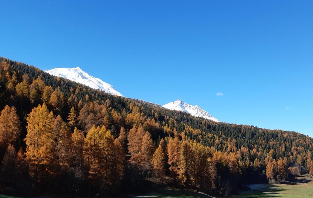 Fuldera Daint Chasa Zanoli Whg Im Zweiten Stock 外观 照片